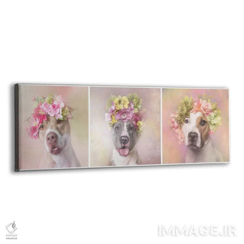 تابلو دکوراتیو Bridie, Dice And Chita,قدرت گل بولداگ: بریدی، دایس و چیتا اثر سوفی گامان - نمای پرسپکتیو محصول