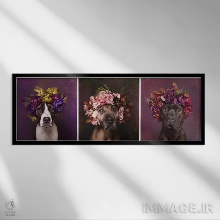 تابلو دکوراتیو Suzie, Sweetie And Chopper,قدرت گل بولداگ: سوزی، سوییتی و چا… اثر سوفی گامان - نمای قابدار مشکی