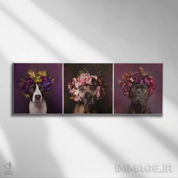 تابلو دکوراتیو Suzie, Sweetie And Chopper,قدرت گل بولداگ: سوزی، سوییتی و چا… اثر سوفی گامان - نمای روبهرو روی دیوار