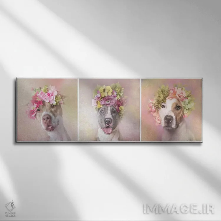 تابلو دکوراتیو Bridie, Dice And Chita,قدرت گل بولداگ: بریدی، دایس و چیتا اثر سوفی گامان - نمای روبهرو روی دیوار