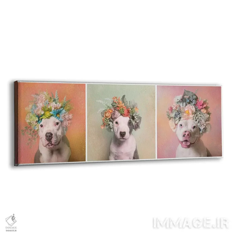 تابلو دکوراتیو Lucy, Treasure And Rain,قدرت گل بولداگ: لوسی، ترژر و رین اثر سوفی گامان - نمای پرسپکتیو محصول