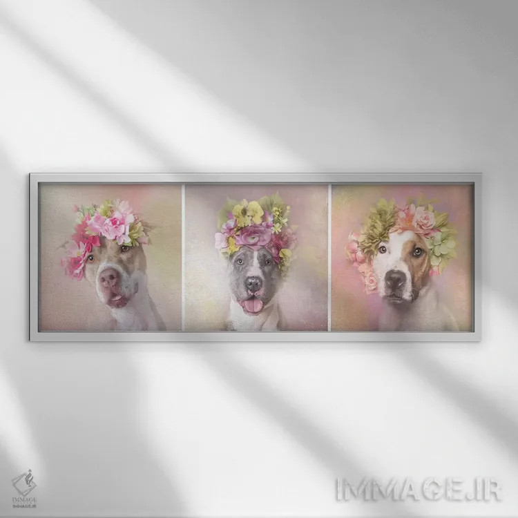 تابلو دکوراتیو Bridie, Dice And Chita,قدرت گل بولداگ: بریدی، دایس و چیتا اثر سوفی گامان - نمای قابدار سفید