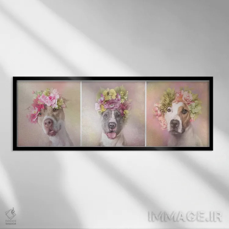 تابلو دکوراتیو Bridie, Dice And Chita,قدرت گل بولداگ: بریدی، دایس و چیتا اثر سوفی گامان - نمای قابدار مشکی