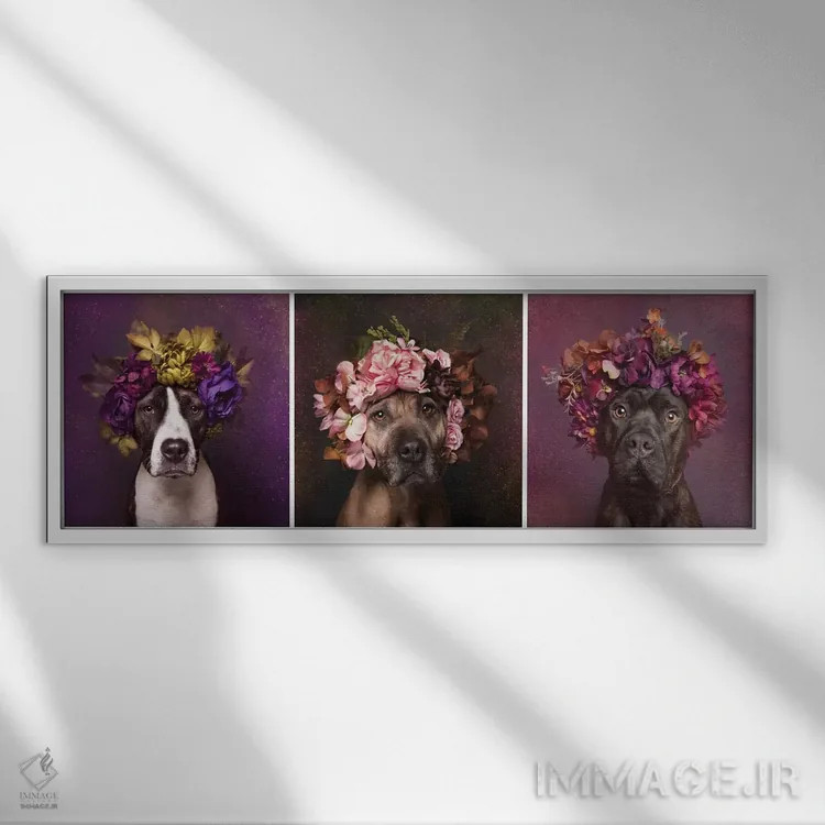 تابلو دکوراتیو Suzie, Sweetie And Chopper,قدرت گل بولداگ: سوزی، سوییتی و چا… اثر سوفی گامان - نمای قابدار سفید