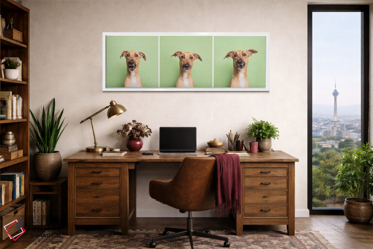 تابلو دکوراتیو کورا سگ نجات یافته اثر سوفی گامان - D1W