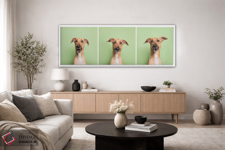 تابلو دکوراتیو کورا سگ نجات یافته اثر سوفی گامان - D4W