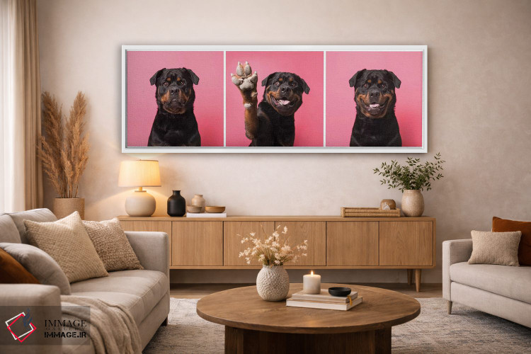 تابلو دکوراتیو بزن قدش! بو سگ نجات یافته اثر سوفی گامان - D3W