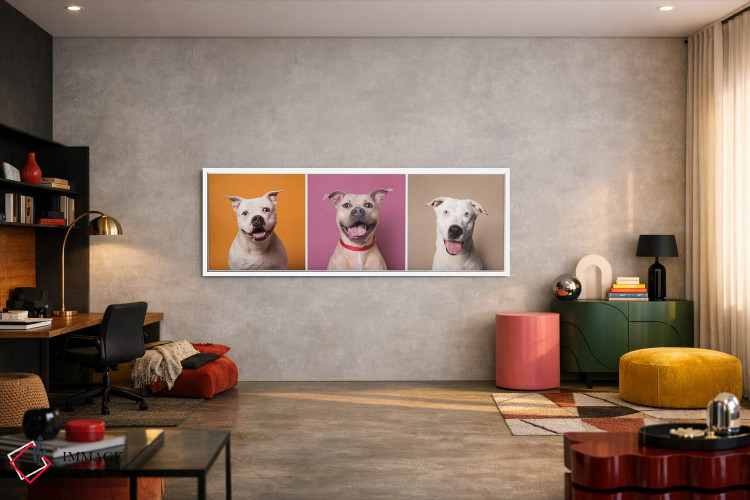 تابلو دکوراتیو Bullet And Ariel,سگ های نجات یافته خندان: پتن، بولت و آریل اثر سوفی گامان - D4W
