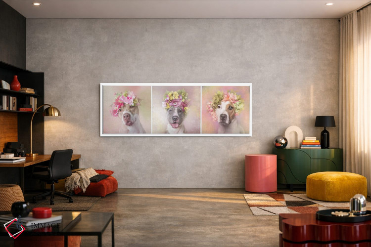 تابلو دکوراتیو Bridie, Dice And Chita,قدرت گل بولداگ: بریدی، دایس و چیتا اثر سوفی گامان - D4W