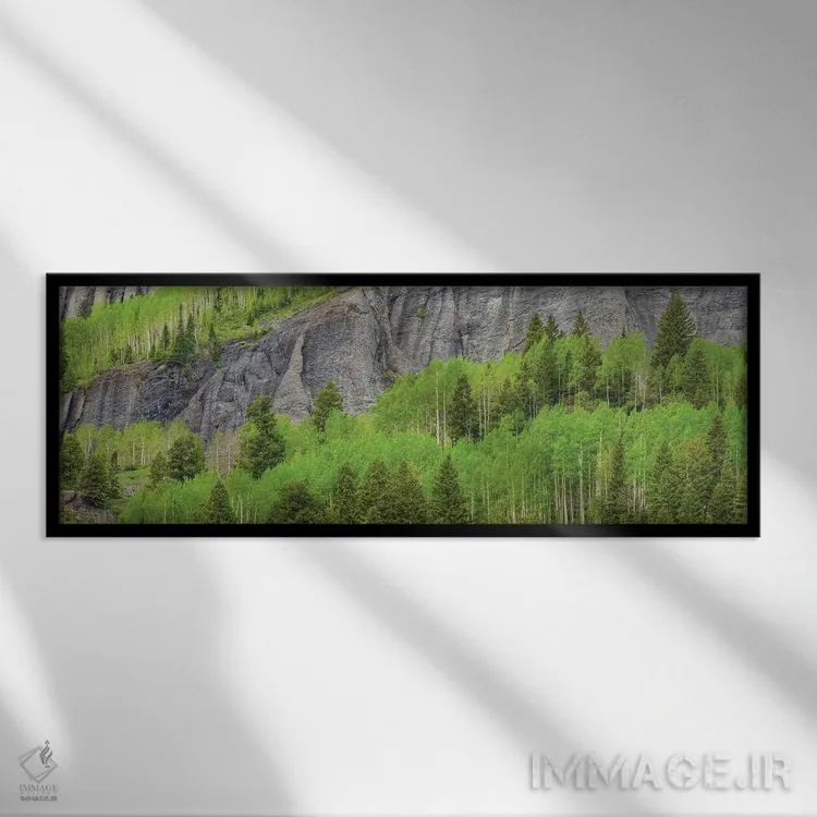 تابلو دکوراتیو رویای سبز اثر بیل شرل - نمای قابدار مشکی