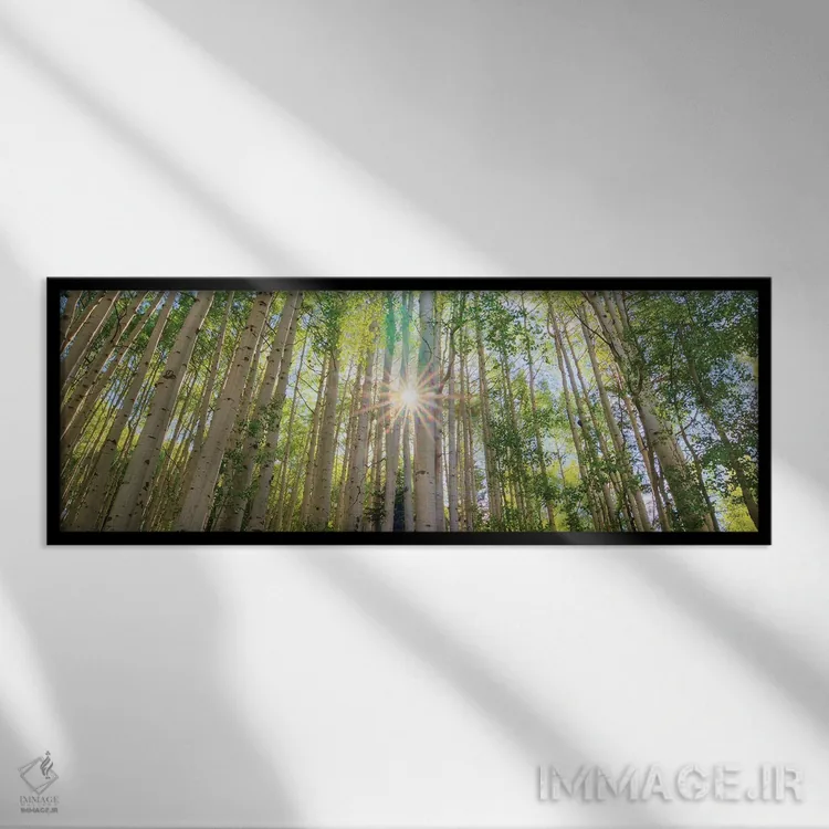 تابلو دکوراتیو درخشش ستاره اثر بیل شرل - نمای قابدار مشکی