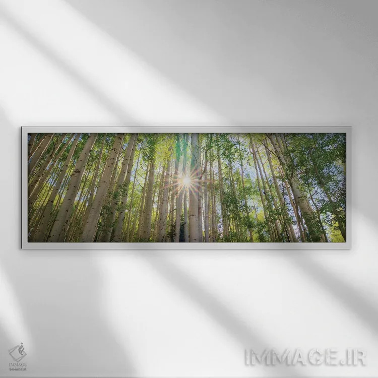 تابلو دکوراتیو درخشش ستاره اثر بیل شرل - نمای قابدار سفید