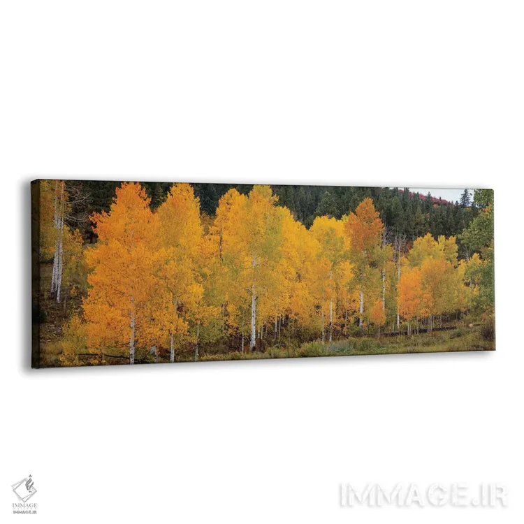 تابلو دکوراتیو صنوبرهای زنده و درخشان ۱ اثر بیل شرل - نمای پرسپکتیو محصول