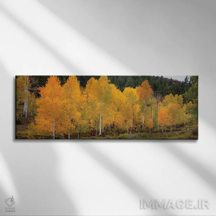 تابلو دکوراتیو صنوبرهای زنده و درخشان ۱ اثر بیل شرل - نمای روبهرو روی دیوار