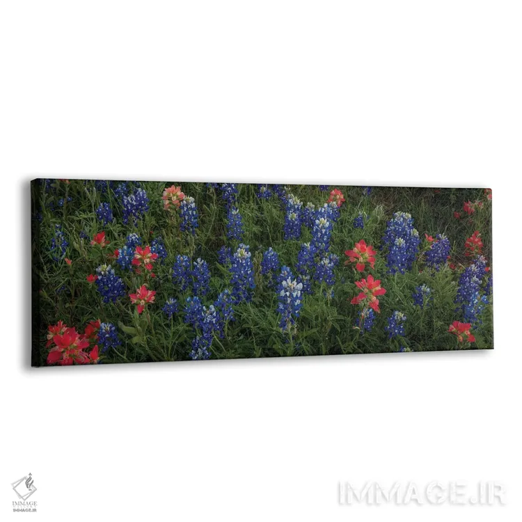 تابلو دکوراتیو بلوبانت ها و اینباور پینت براش اثر بیل شرل - نمای پرسپکتیو محصول