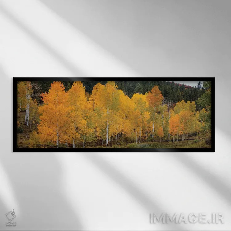 تابلو دکوراتیو صنوبرهای زنده و درخشان ۱ اثر بیل شرل - نمای قابدار مشکی