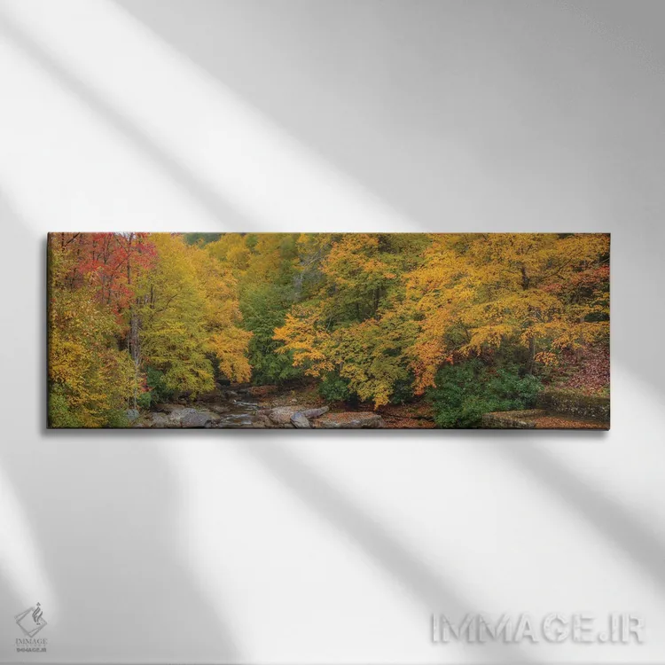 تابلو دکوراتیو پاییز در ویرجینیای غربی I اثر بیل شرل - نمای روبهرو روی دیوار