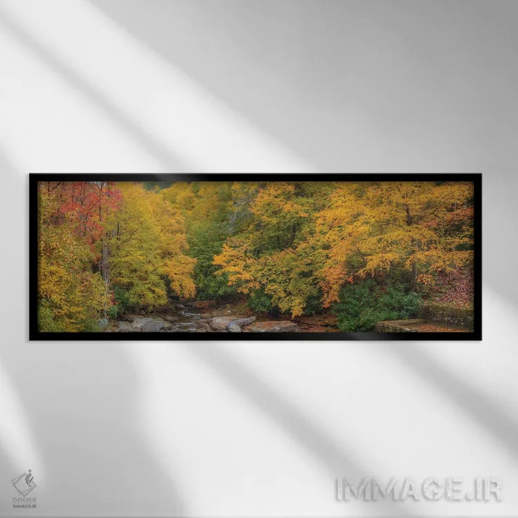 تابلو دکوراتیو پاییز در ویرجینیای غربی I اثر بیل شرل - نمای قابدار مشکی