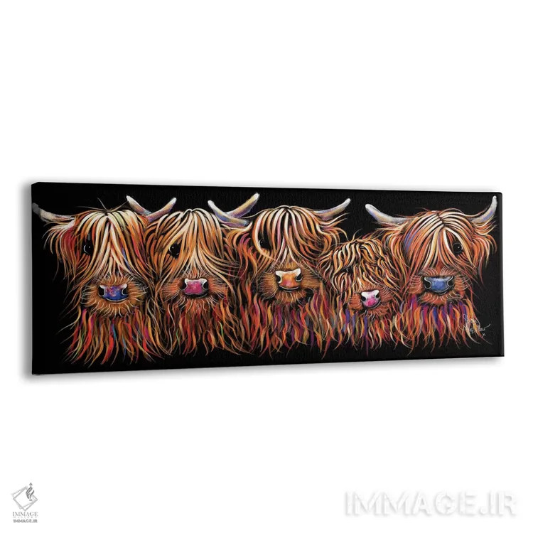 تابلو دکوراتیو گروه پشمالوی گاوان اسکاتلندی اثر شرلی مک آرتور - نمای پرسپکتیو محصول