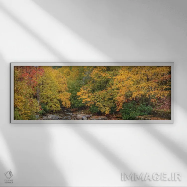 تابلو دکوراتیو پاییز در ویرجینیای غربی I اثر بیل شرل - نمای قابدار سفید