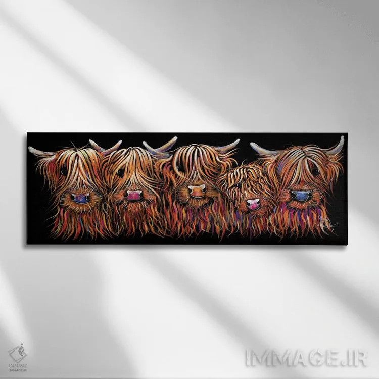تابلو دکوراتیو گروه پشمالوی گاوان اسکاتلندی اثر شرلی مک آرتور - نمای روبهرو روی دیوار