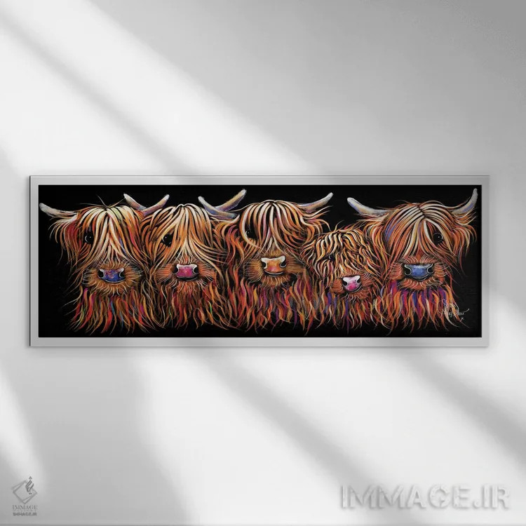 تابلو دکوراتیو گروه پشمالوی گاوان اسکاتلندی اثر شرلی مک آرتور - نمای قابدار سفید