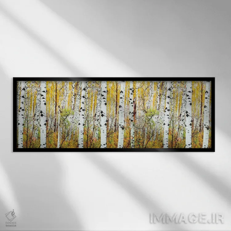 تابلو دکوراتیو Colorado,پانوراما درختان آسپن، کلرادو اثر سوزانه کرمر - نمای قابدار مشکی