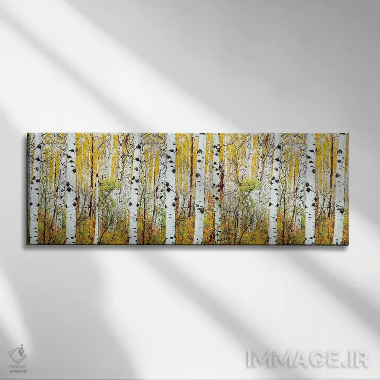 تابلو دکوراتیو Colorado,پانوراما درختان آسپن، کلرادو اثر سوزانه کرمر - نمای روبهرو روی دیوار