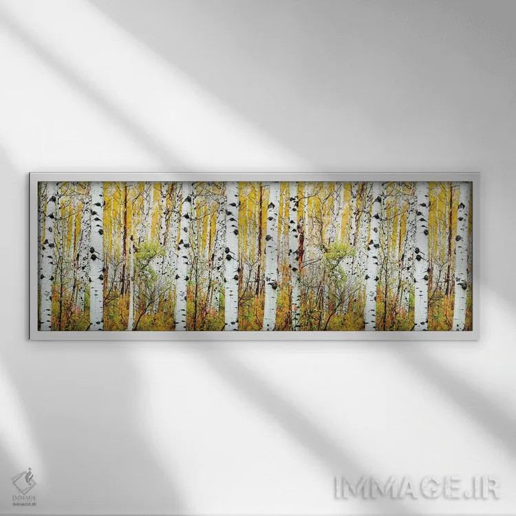 تابلو دکوراتیو Colorado,پانوراما درختان آسپن، کلرادو اثر سوزانه کرمر - نمای قابدار سفید
