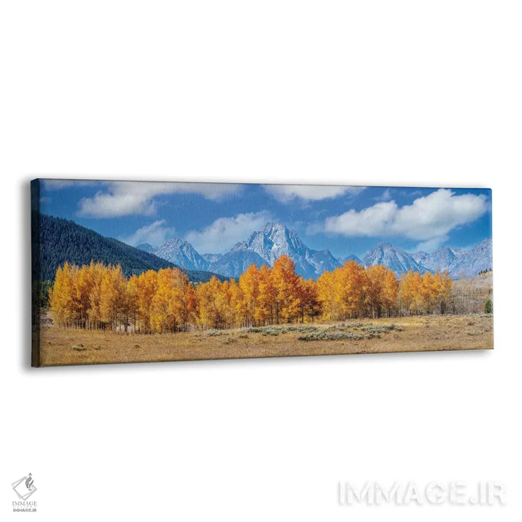 تابلو دکوراتیو نمای پانورامیک پاییزی گرند تتون با درختان آسپن اثر سوزانه کرمر - نمای پرسپکتیو محصول