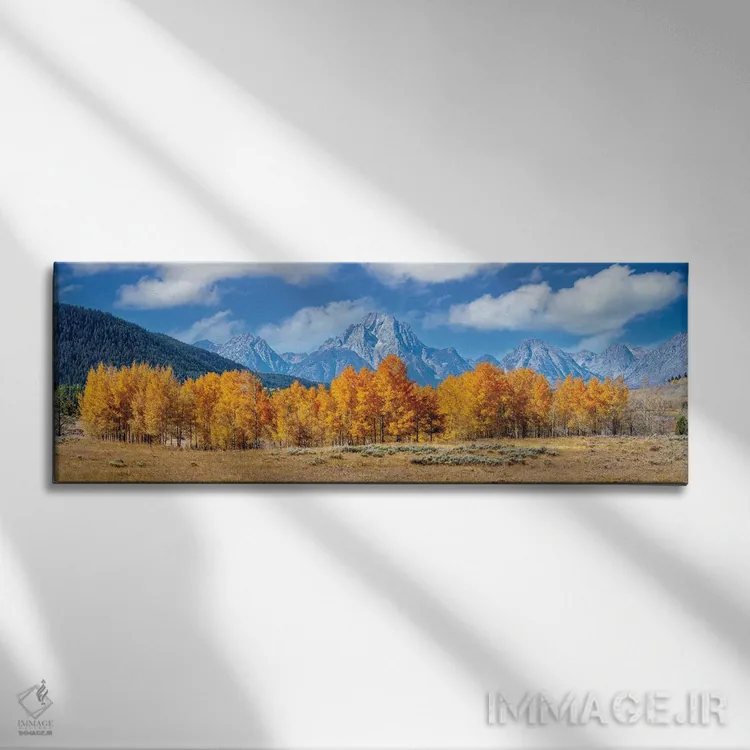تابلو دکوراتیو نمای پانورامیک پاییزی گرند تتون با درختان آسپن اثر سوزانه کرمر - نمای روبهرو روی دیوار