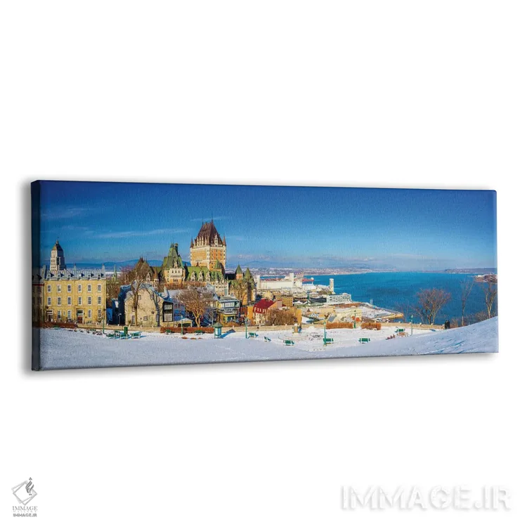 تابلو دکوراتیو پانورامای برفی کبک اثر سوزانه کرمر - نمای پرسپکتیو محصول