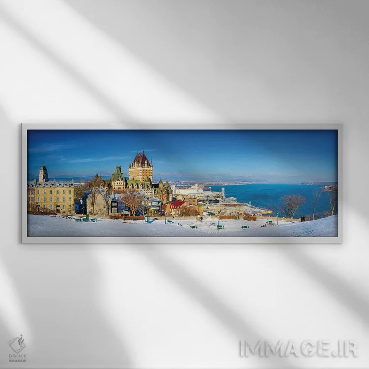 تابلو دکوراتیو پانورامای برفی کبک اثر سوزانه کرمر - نمای قابدار سفید