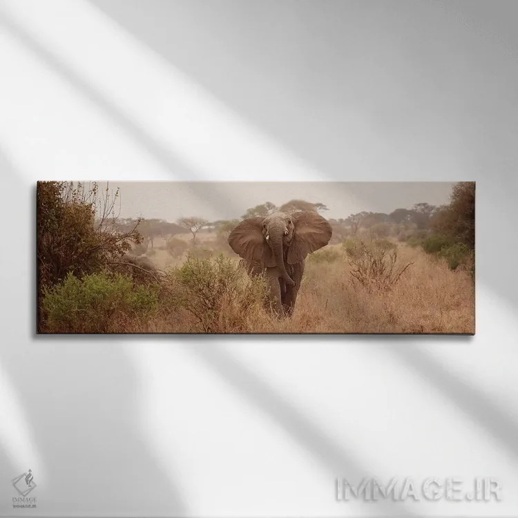 تابلو دکوراتیو فیل در ساوانا اثر سوزان میشال - نمای روبهرو روی دیوار