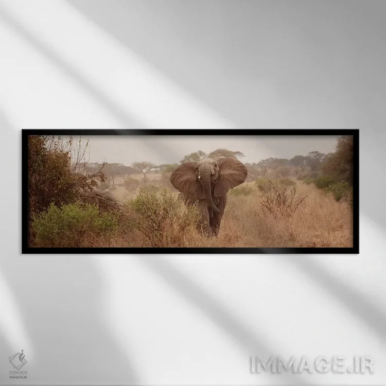 تابلو دکوراتیو فیل در ساوانا اثر سوزان میشال - نمای قابدار مشکی