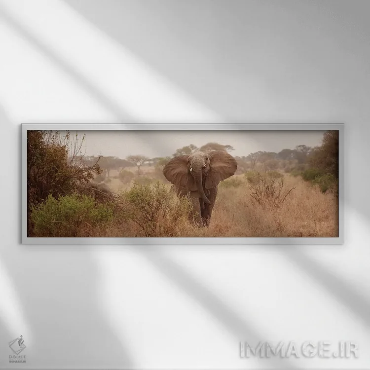 تابلو دکوراتیو فیل در ساوانا اثر سوزان میشال - نمای قابدار سفید