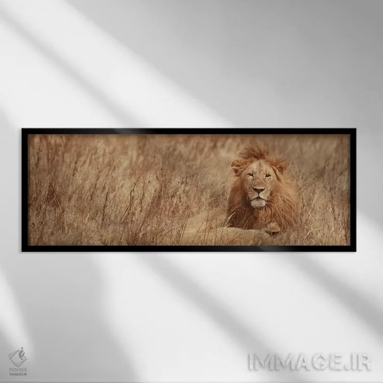 تابلو دکوراتیو شیر باشکوه اثر سوزان میشال - نمای قابدار مشکی
