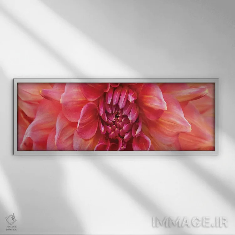 تابلو دکوراتیو دالیای بی نقص اثر سوزان میشال - نمای قابدار سفید