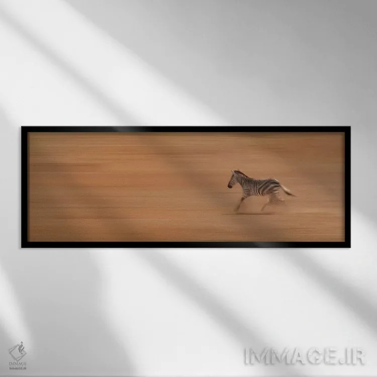 تابلو دکوراتیو گورخر در حال دویدن اثر سوزان میشال - نمای قابدار مشکی