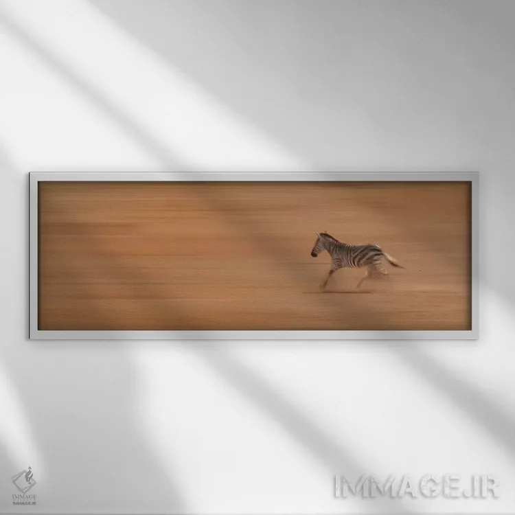 تابلو دکوراتیو گورخر در حال دویدن اثر سوزان میشال - نمای قابدار سفید