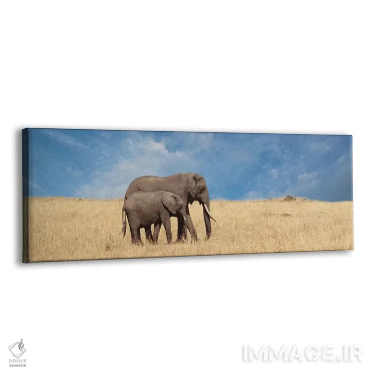 تابلو دکوراتیو فیل و بچه اش اثر سوزان میشال - نمای پرسپکتیو محصول