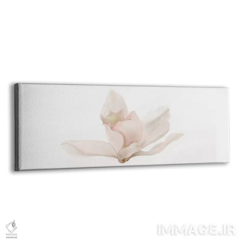 تابلو دکوراتیو کاتلیا اثر سوزان میشال - نمای پرسپکتیو محصول