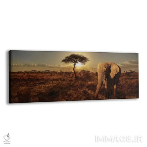 تابلو دکوراتیو فیل و درخت اثر سوزان میشال - نمای پرسپکتیو محصول