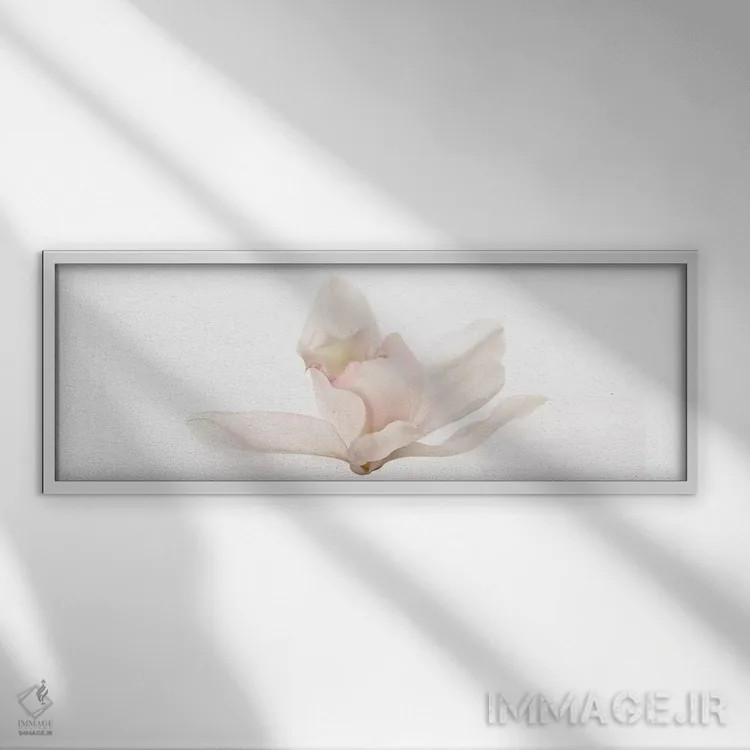 تابلو دکوراتیو کاتلیا اثر سوزان میشال - نمای قابدار سفید