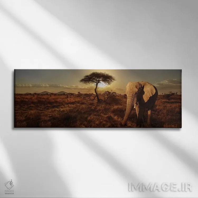 تابلو دکوراتیو فیل و درخت اثر سوزان میشال - نمای روبهرو روی دیوار