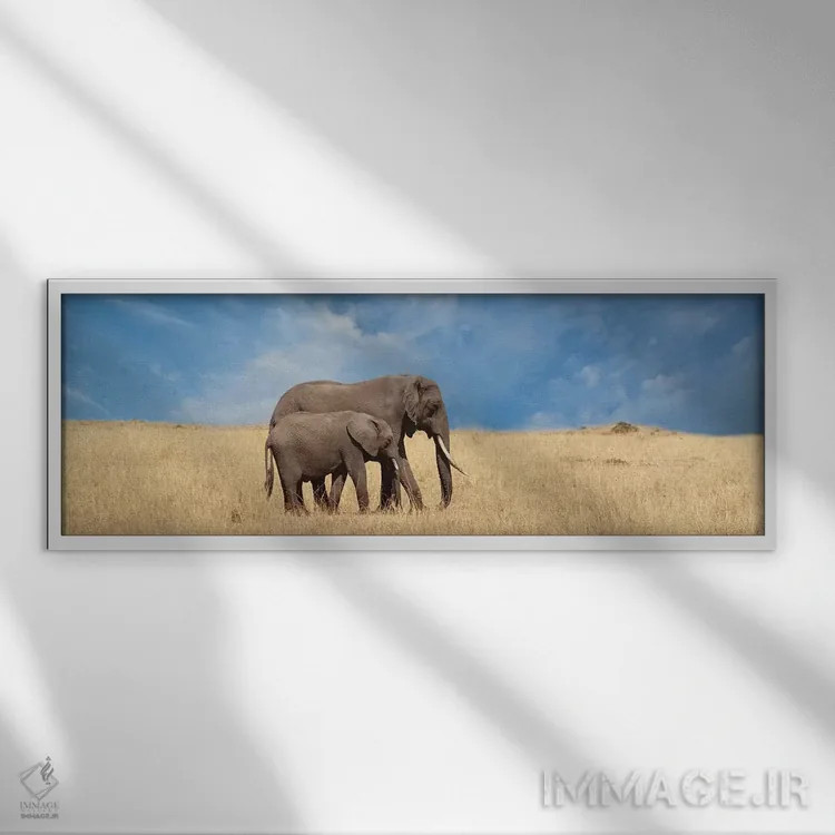 تابلو دکوراتیو فیل و بچه اش اثر سوزان میشال - نمای قابدار سفید
