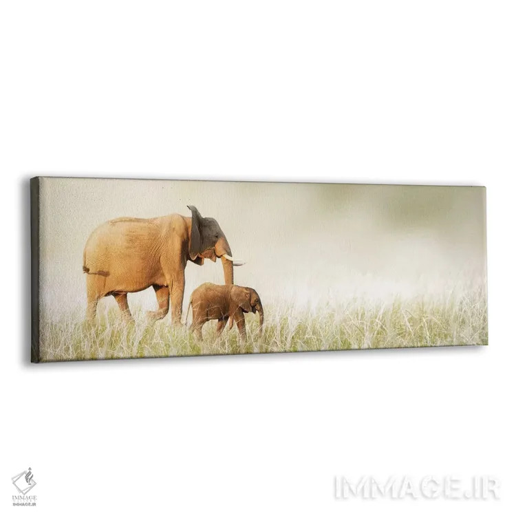 تابلو دکوراتیو فیل مادر و بچه اش در حال قدم زدن در علفزار بلند اثر سوزان ریچی - نمای پرسپکتیو محصول