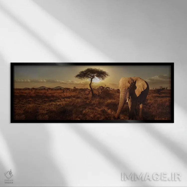 تابلو دکوراتیو فیل و درخت اثر سوزان میشال - نمای قابدار مشکی