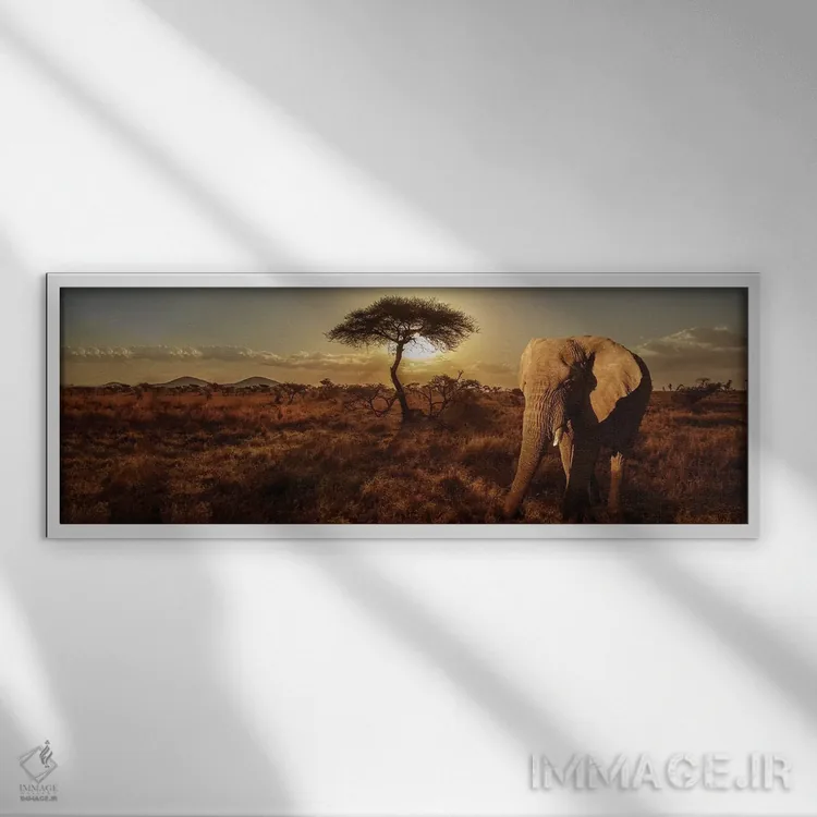 تابلو دکوراتیو فیل و درخت اثر سوزان میشال - نمای قابدار سفید