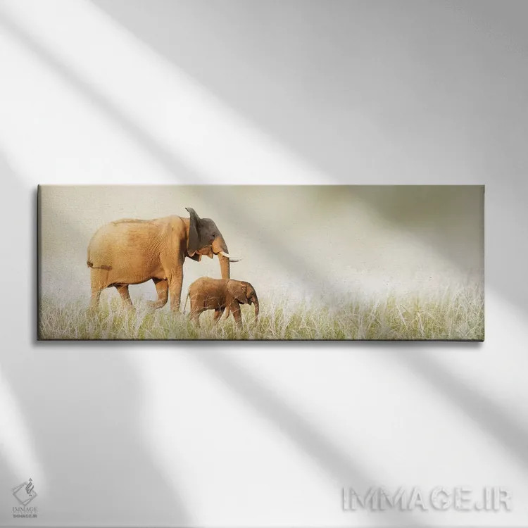 تابلو دکوراتیو فیل مادر و بچه اش در حال قدم زدن در علفزار بلند اثر سوزان ریچی - نمای روبهرو روی دیوار